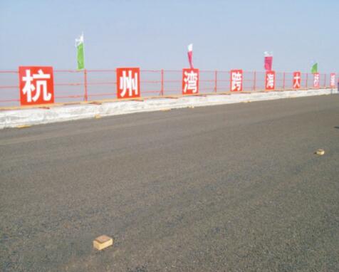 杭州湾跨海大桥项目